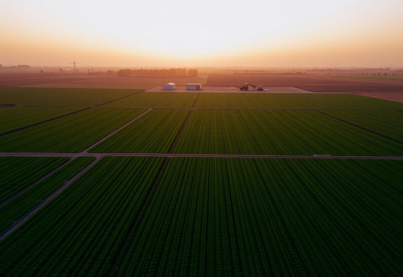 Aerial view of farmland at sunset